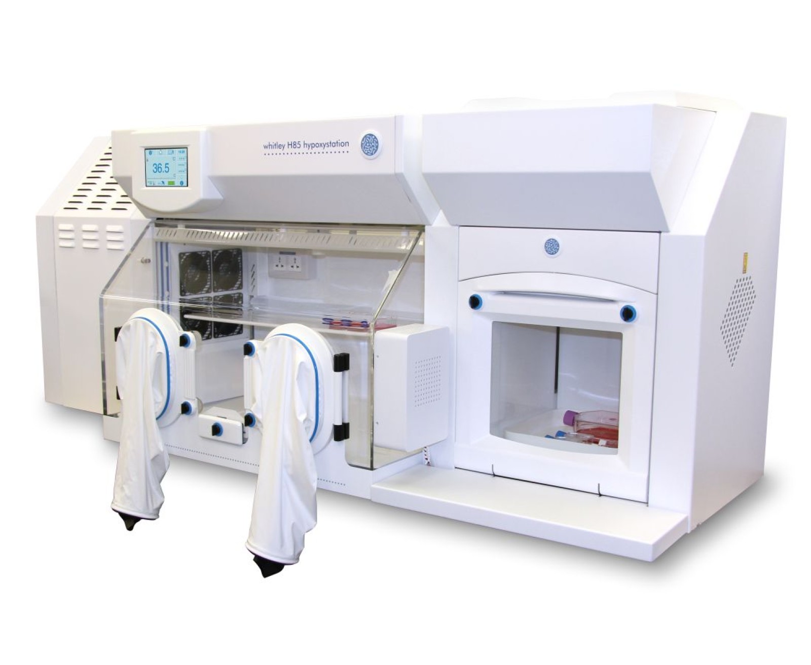 Whitley H85 Hypoxystation
