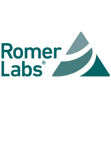 romer Logo
